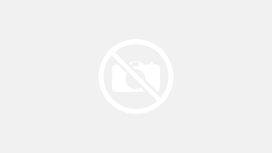 Kayıt Şirketi Namecheap